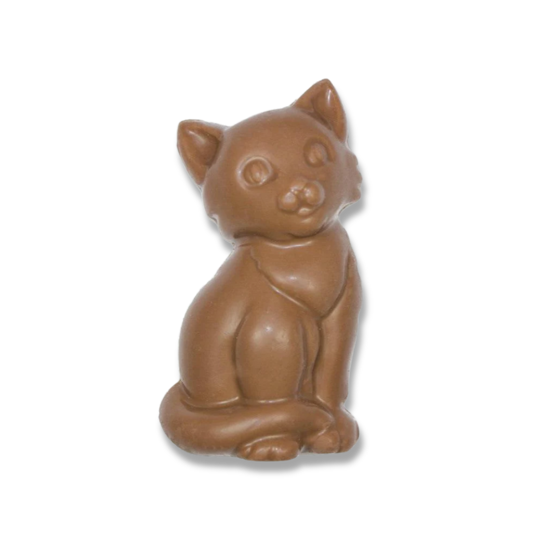 Chocolate Kitten