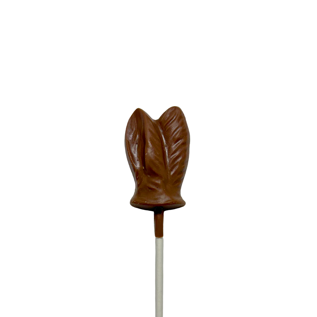 Bunny Ears Lollipop