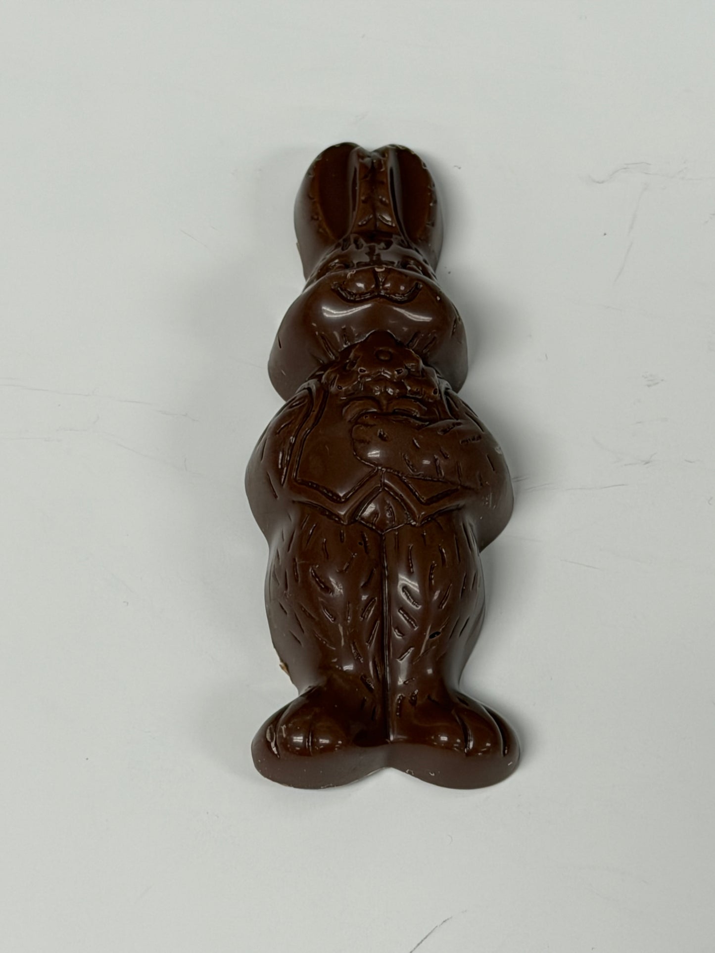 Chocolate Bunny