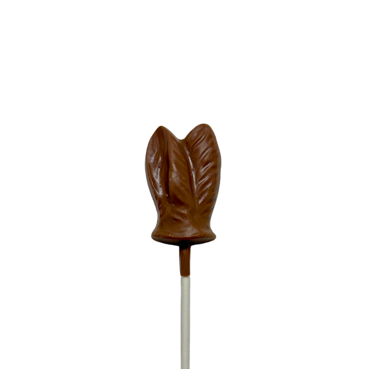 Bunny Ears Lollipop