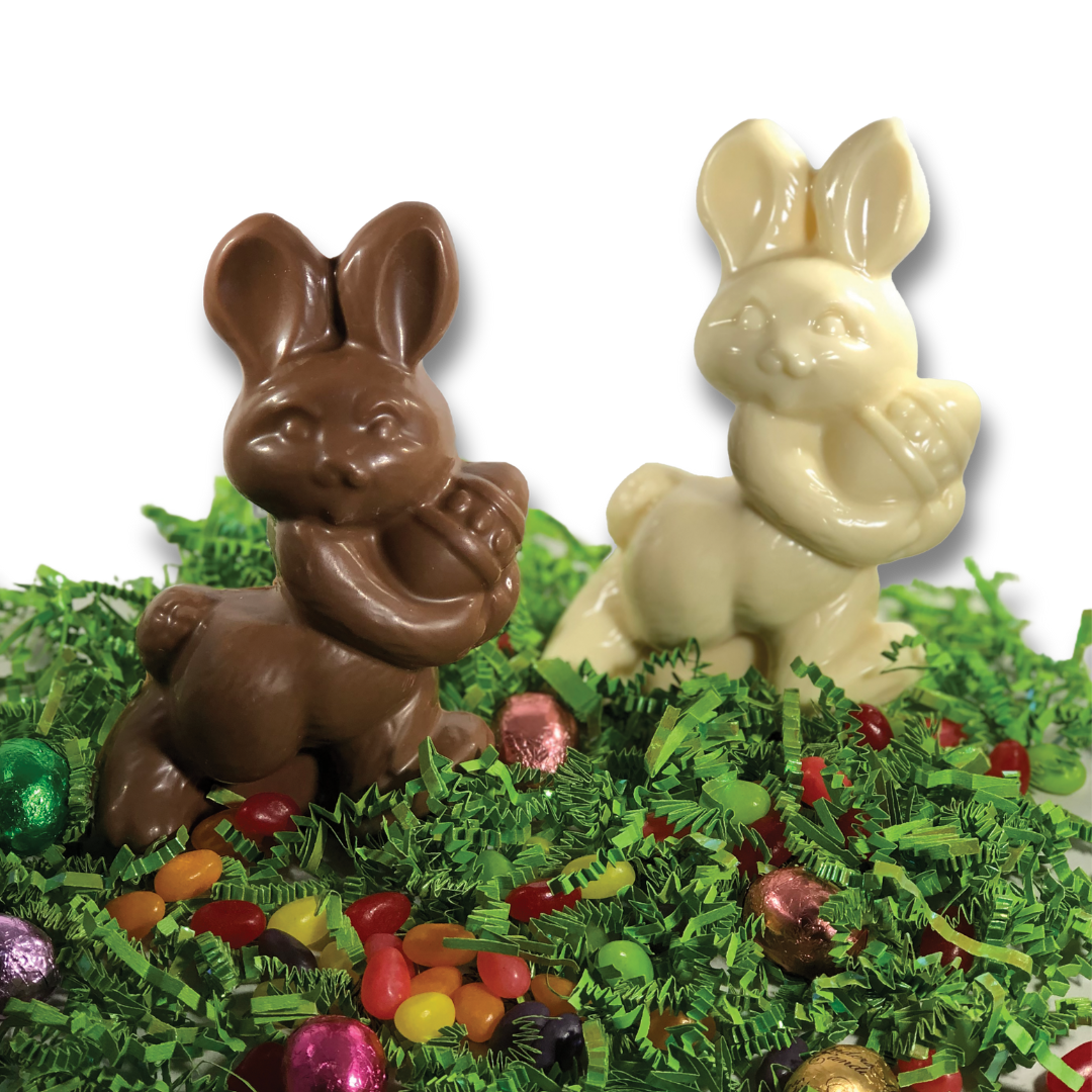 Chocolate Bunny with Egg