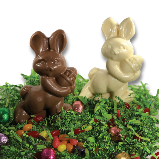 Chocolate Bunny with Egg