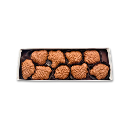 Boxed Pecan Turtle Treats