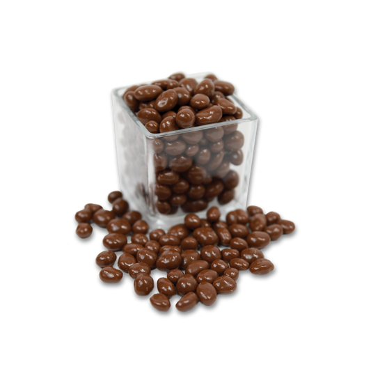 Chocolate Covered Raisins